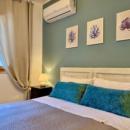 Blue Dolphin Guest house