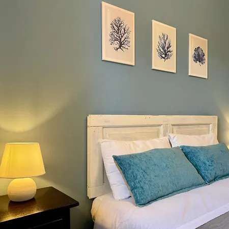 Blue Dolphin 3*