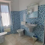 Blue Dolphin בית הארחה