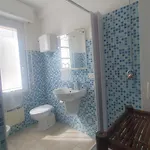 Blue Dolphin אלגהרו